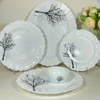 ظروف پذیرایی|ظروف سرو و پذیرایی|قرچک, باقرآباد|دیوار