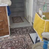 خانه-دوبلکس