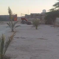 زمین|فروش زمین و ملک کلنگی|بندر گناوه, |دیوار