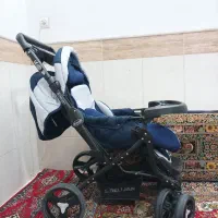 کالسکه دلیجان|کالسکه و لوازم جانبی|قم, چهل درخت|دیوار