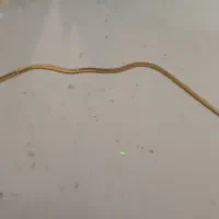 ساعت مچی زنانه|ساعت|قم, شهرک قدس|دیوار