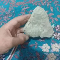 فسیل‌صدف‌و‌مسیل‌حیوان‌در‌یایی‌‌‌چند‌سا‌له