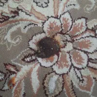 به عالیترین و با ظرافت ترین نحو ممکن