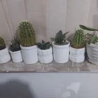 hi gkhc|تلفن رومیزی|تربت جام, مطهری|دیوار