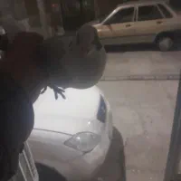 کبوترپرنده