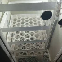 دستگاه جوجه کش210تایی مشهدبرق