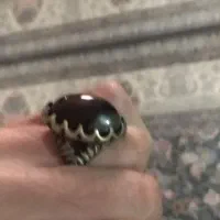 انگشتر|بدلیجات|صفادشت, |دیوار