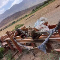 دستگاه پرس کارتن پت پلاستیک و حلب