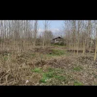 ۳۰۰ متر زمین در بجاربنه رشت (قابل معاوضه)|فروش زمین و ملک کلنگی|رشت, حومه رشت|دیوار