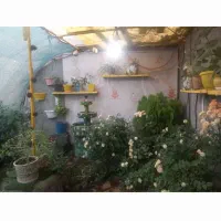 اجاره باغ ویلا|اجارهٔ کوتاه‌مدت ویلا و باغ|گلبهار, نوبهار|دیوار