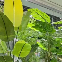 تمامی لاین های آرایشی