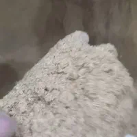 سبوس برنج (آرده)