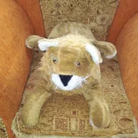 عروسک در حد نو با قیمت مناسب