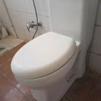 توالت فرهنگی