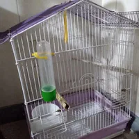 قفس پرنده سالم|لوازم جانبی حیوانات|محمدشهر, کوی بهار|دیوار