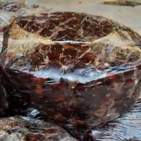 خرما گنطار درجه یک