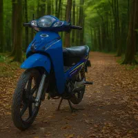 موتور بیکلاج کویر مدل 94