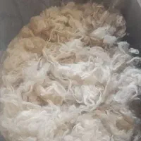 حراج...پشم گوسفندی سفید و شسته شده اسلام آباد