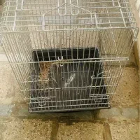 قفس بزرگ کاسکویی