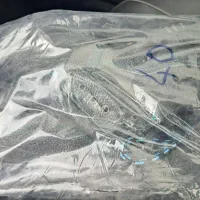 کفش ایمنی سایز۴۰