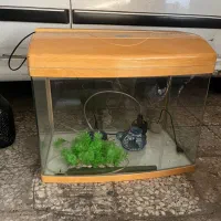 آکواریوم با وسایل|ماهی|تهران, آهنگران (سراسیاب دولاب)|دیوار