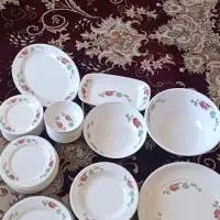 ظروف ملامین