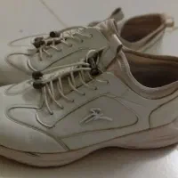 کفش مردانه|کیف، کفش، کمربند|بروجرد, |دیوار