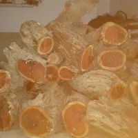 چوب عناب درجه یک