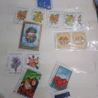 تمر