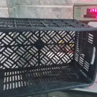 سبدگوجه|ظروف نگهدارنده، پلاستیکی، یکبارمصرف|مشهد, شهرک امام هادی (شهرک غرب)|دیوار