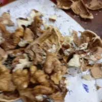 فروش گردو شسته همانطوری که درعکس مشخصه تاریخ دار