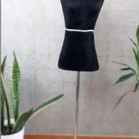 رگال چرخشی،مانکن،مانکن سر