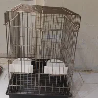 قفس طوطی عروس هلندی