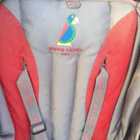 کالسکه دوقلو پیرگاردن|کالسکه و لوازم جانبی|مشهد, گاز|دیوار