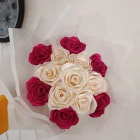 گل روبانی همیشه جاودان