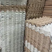 کارتون تخم مرغ و شانه