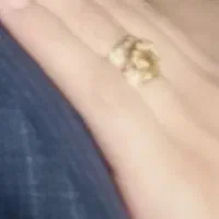 انگشتر گمشده