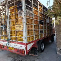 اتاق مرغی خاوری