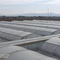 9.5 هکتار کشت و صنعت 6دانگ