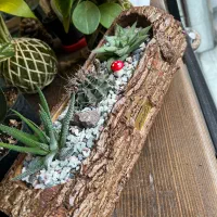 فروشنده دستفروشی|استخدام بازاریابی و فروش|رشت, بازار|دیوار