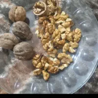 گردوی سفید وخوش مزه|خوردنی و آشامیدنی|میاندوآب, |دیوار