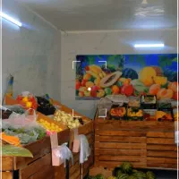 استند میوه فروشی