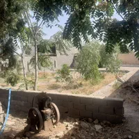 فروش باغ ۶۴۵ متری در روشن‌دشت|فروش زمین و ملک کلنگی|اصفهان, روشن‌دشت|دیوار