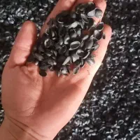 کربن  پوست پسته صادراتی