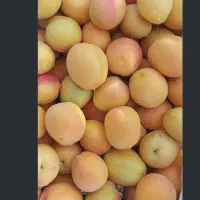 کاملا رسیده و خوشمزه