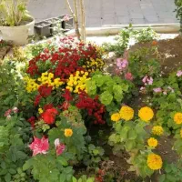 سیم کارت رند