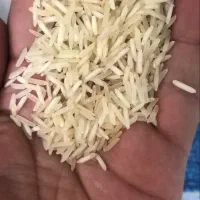 برنج پاکستانی