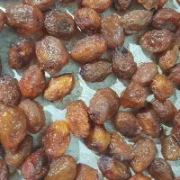 آلوی آفتابی