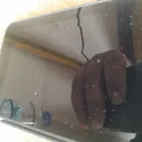 تعویض گوشی با ماینر