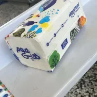 دستمال کاغذی|مواد شوینده و دستمال کاغذی|تهران, آذری|دیوار